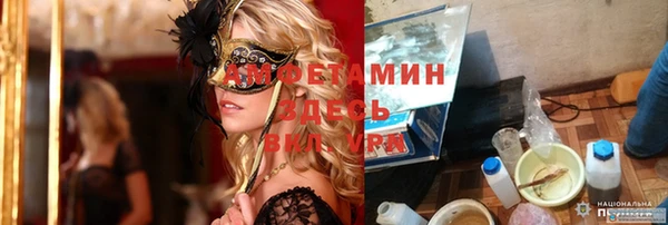 мдпв Вязьма