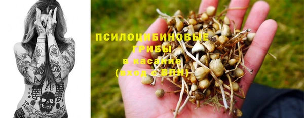 мдпв Вязьма